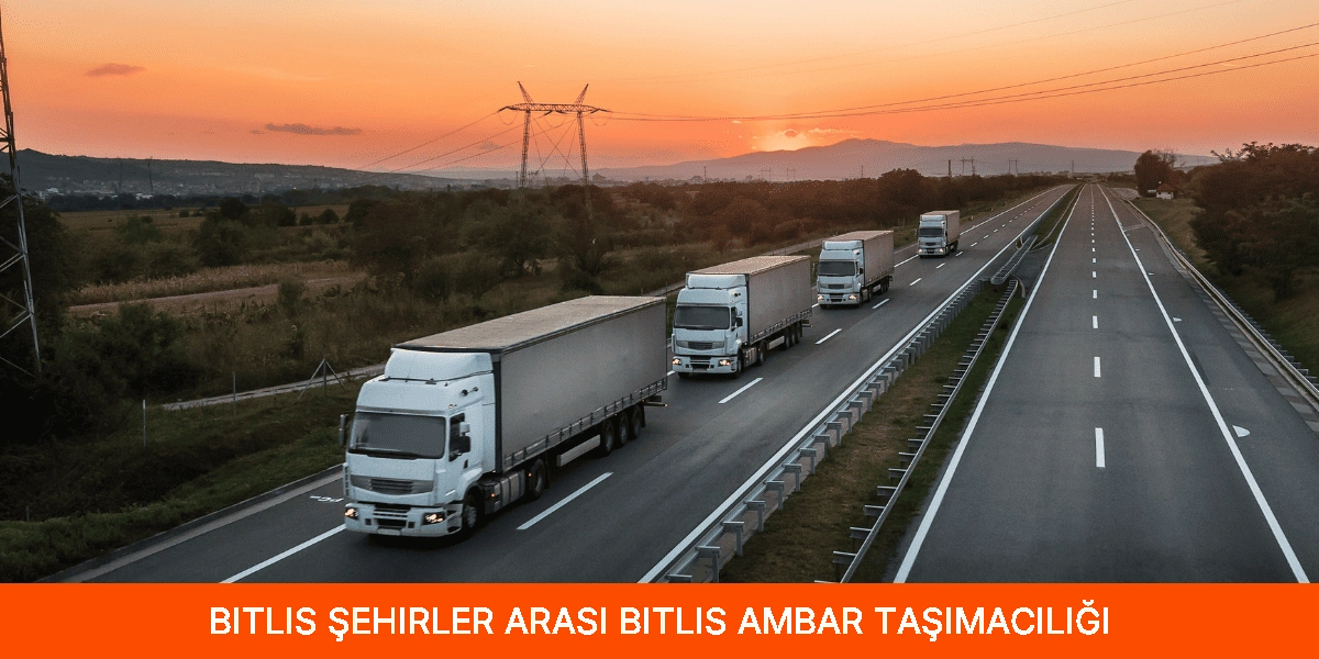 Şehirler Arası Bitlis Ambar Taşımacılığı